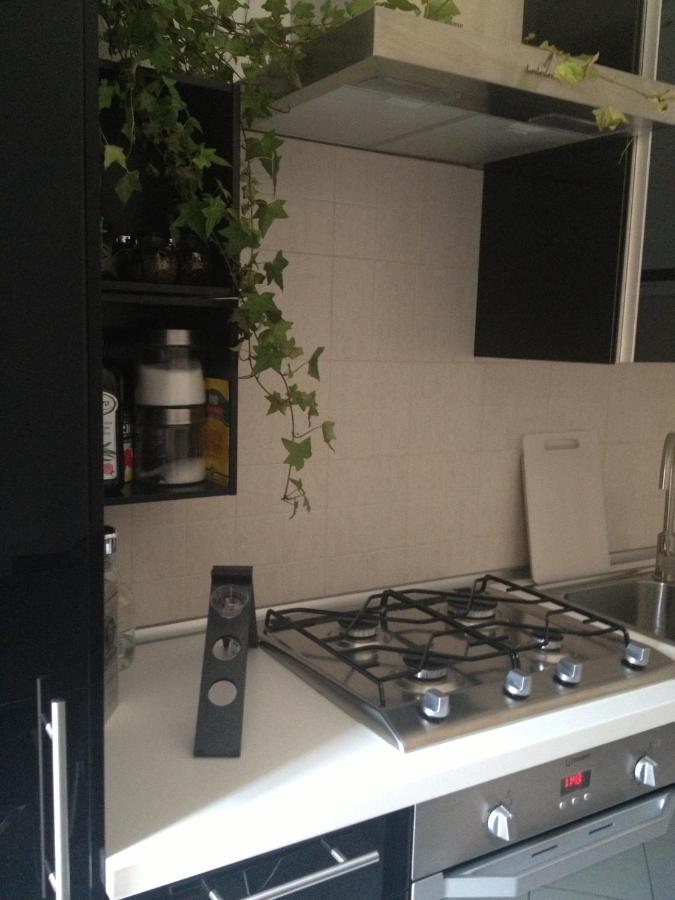 Apartment Near Historic Center With Bicycles Bologna Luaran gambar
